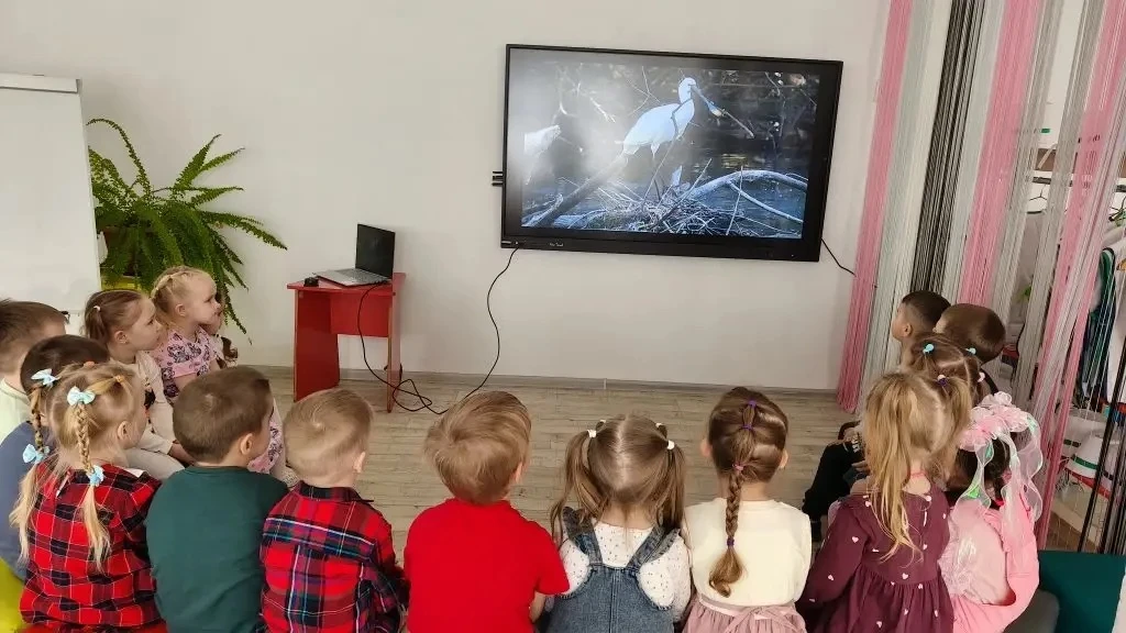 🦢 Малая колпица: редкая гостья в 12 группе!  В рамках эколого-просветительского проекта «12 символов