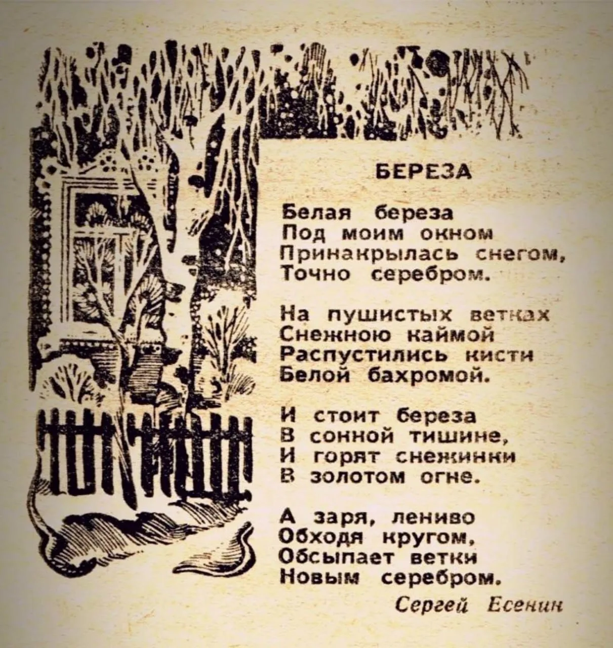 🪶 Помните, как зубрили в школе этот стих Есенина?