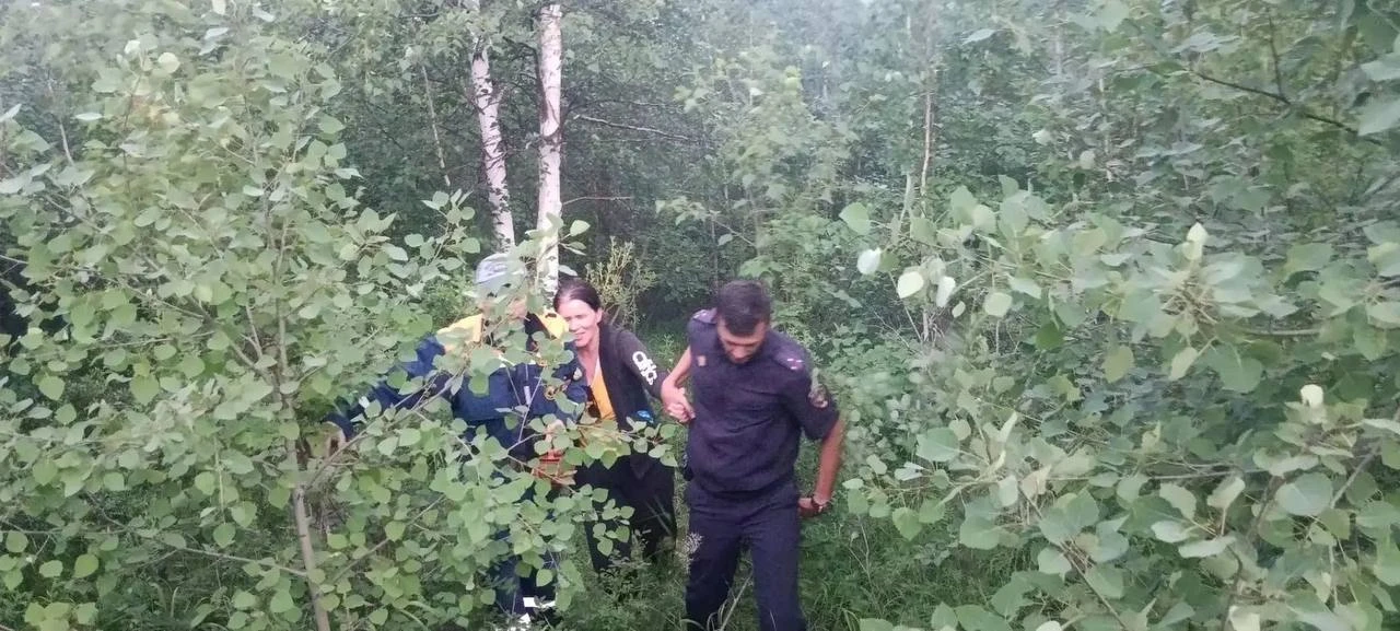 ❗ Жительница Забайкалья заблудилась в лесу во время похода за грибами

В знакомом лесу супруги случа
