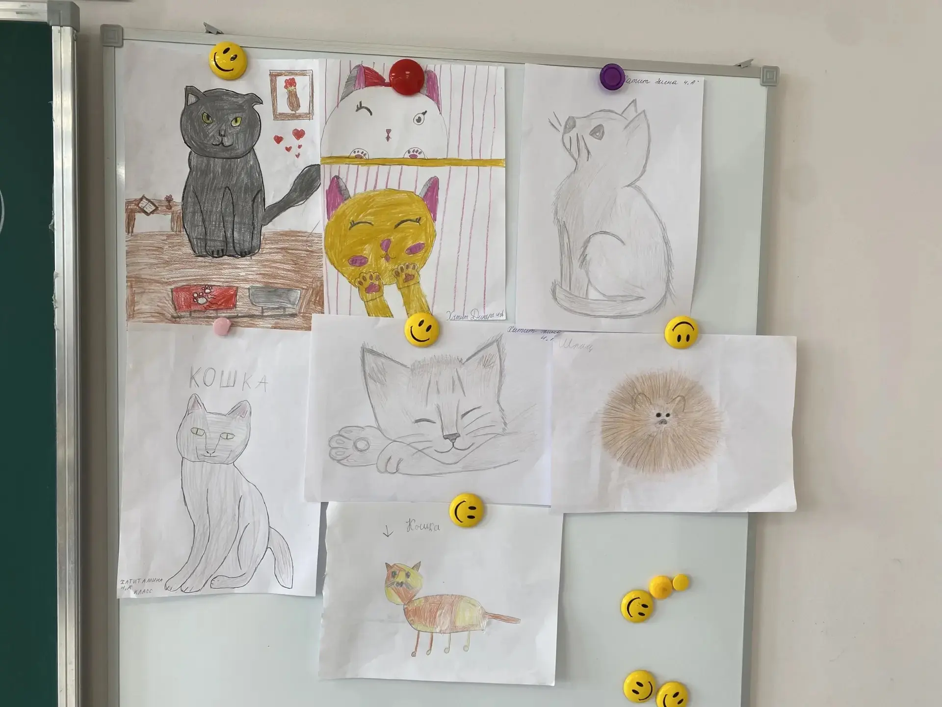 Заголовок: 🐾 Мы в ответе за тех, кого приручили!