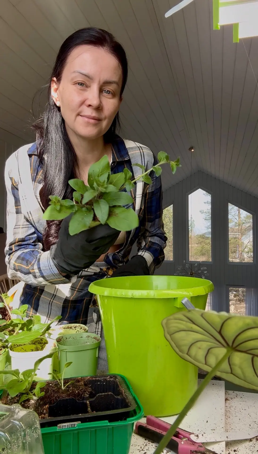 Было время когда я боялась стричь растения 🌱 мне все было жалко и рука не поднималась…...