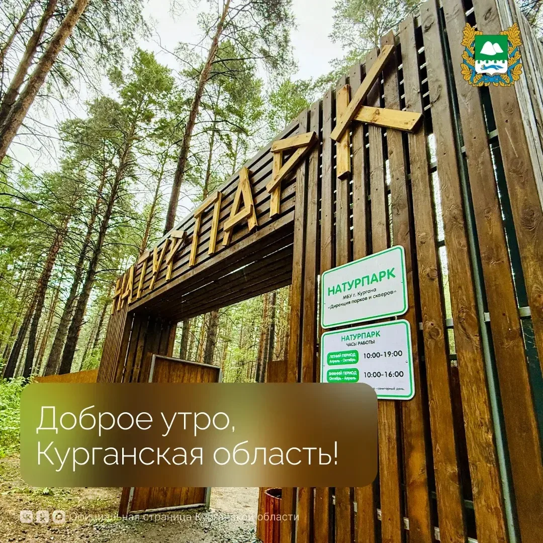 Доброе утро, Курганская область!

Температура за окном +22 градуса. Днём ожидается до +26

⛅☀️

#Кур