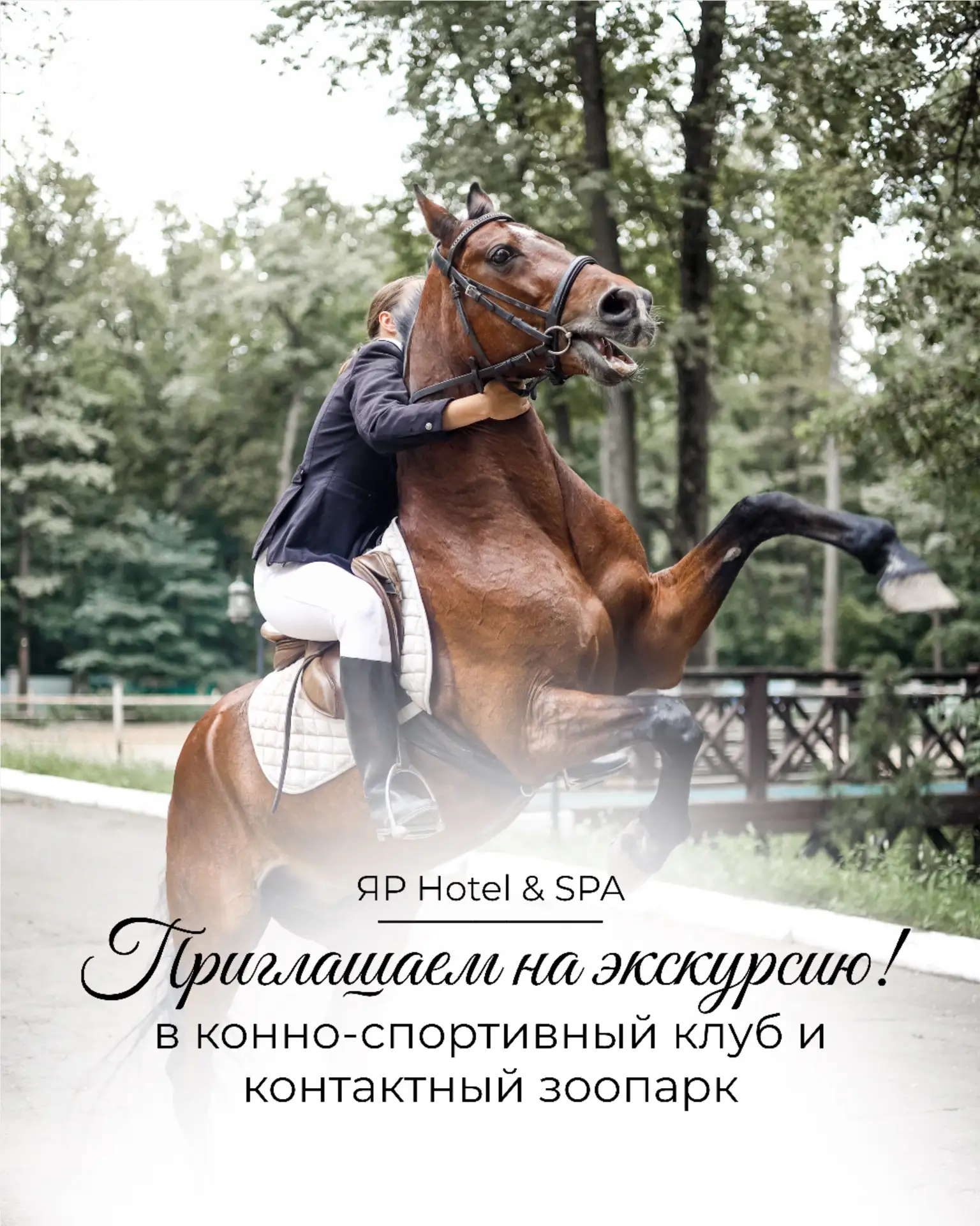 Последние дни лета — с пользой и удовольствием! 🐴✨