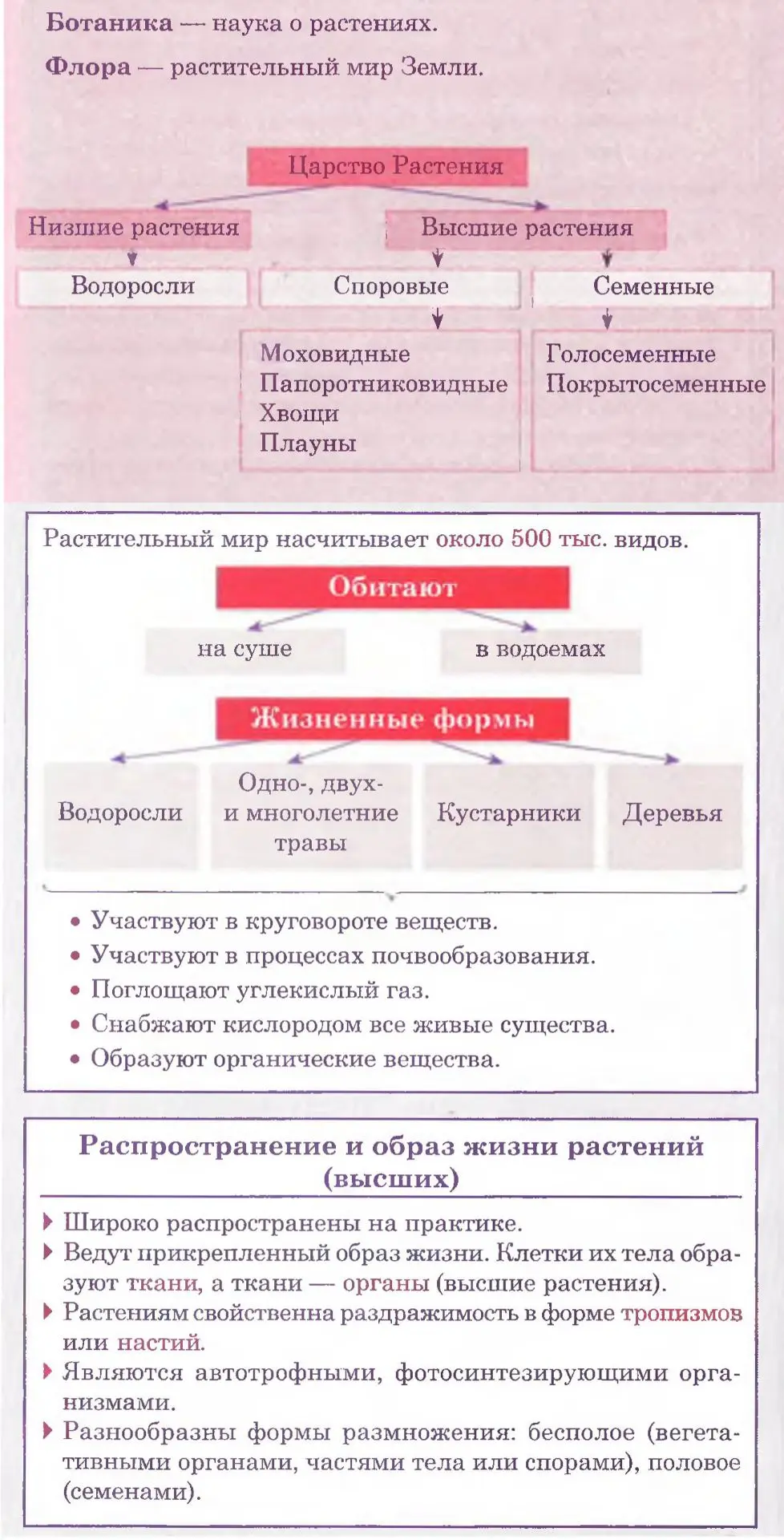 Общие особенности растений