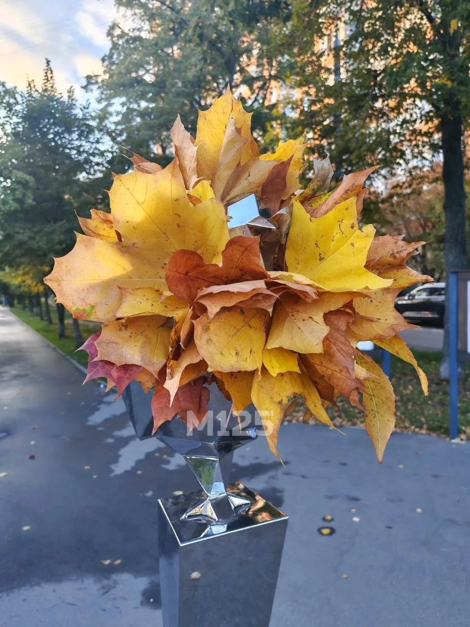🧡 Главный любимец района Свиблово никогда не скучает без внимания местных