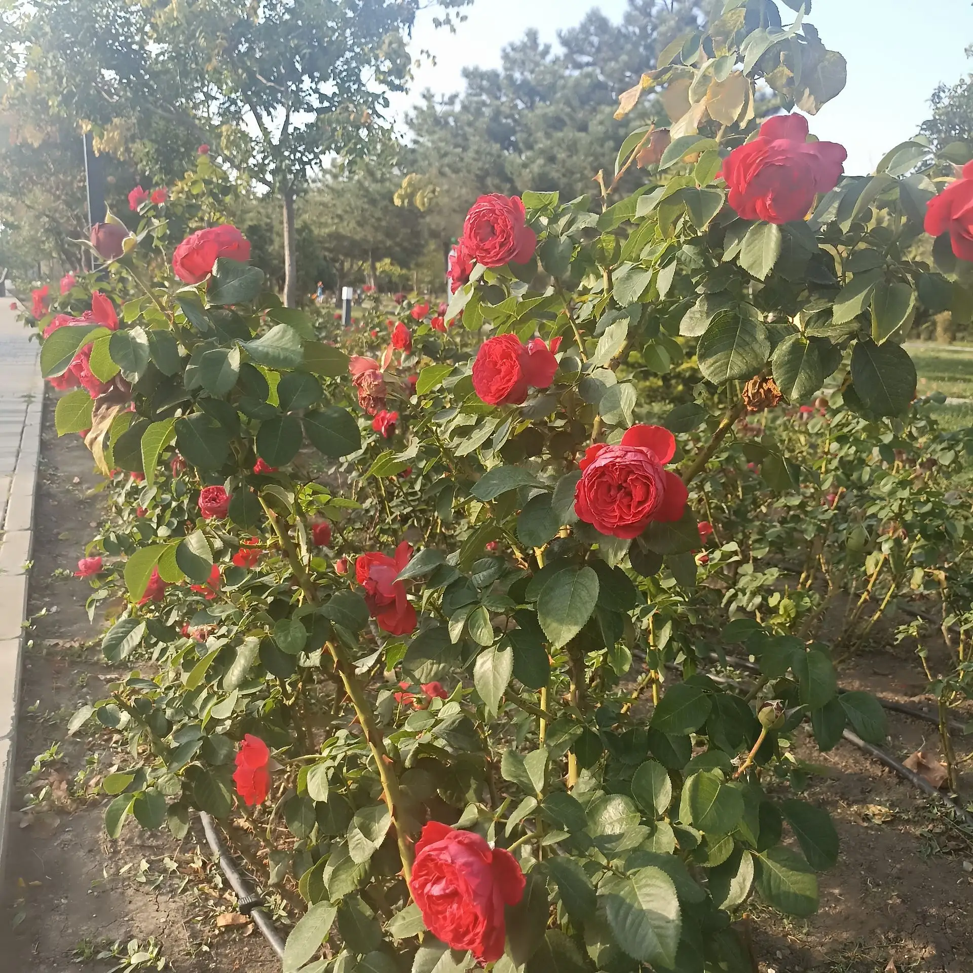 Присылайте фото в комментарии, кто чем занят, где вы сейчас...📸