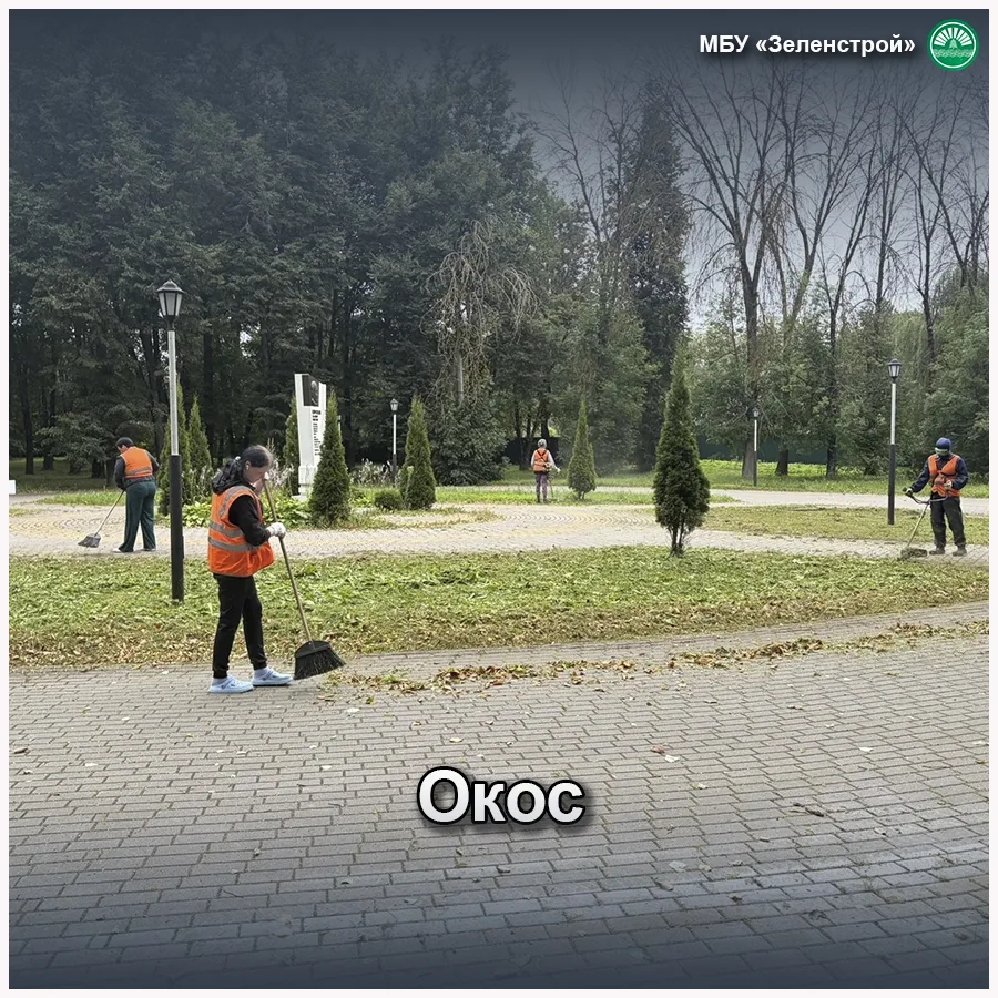Ежедневно проводим работы по окосу газонов в скверах и парках, на бульварах и аллеях.