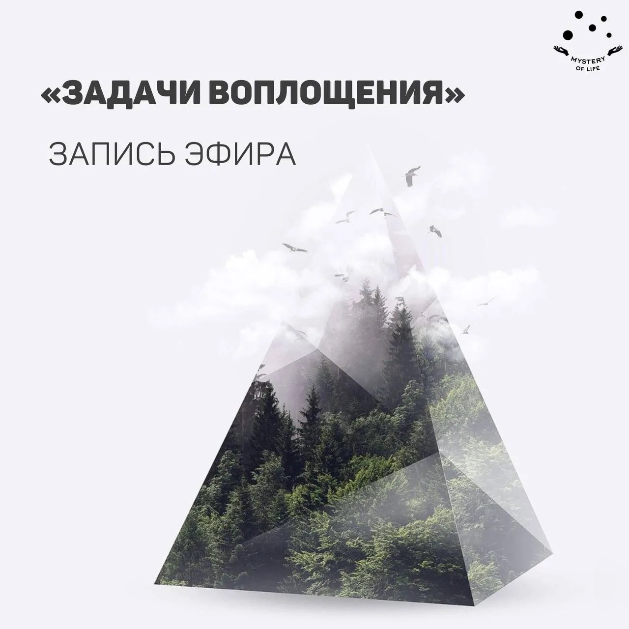 Запись эфира «Задачи воплощения»