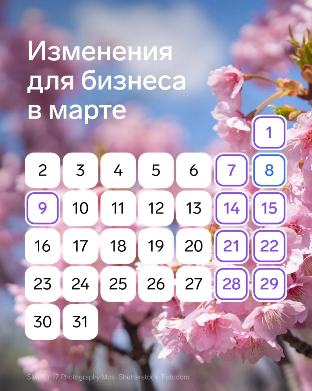 ⚡️ Запрет англицизмов, новая волна маркировки, штрафы «автоматом»  С 1 марта вступил в силу ряд зако