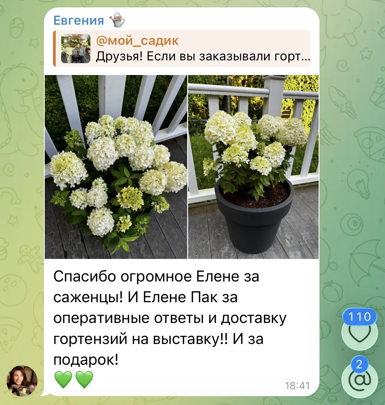 Друзья! Завтра, 13 августа - второй и заключительный день работы выставки гортензий в М...