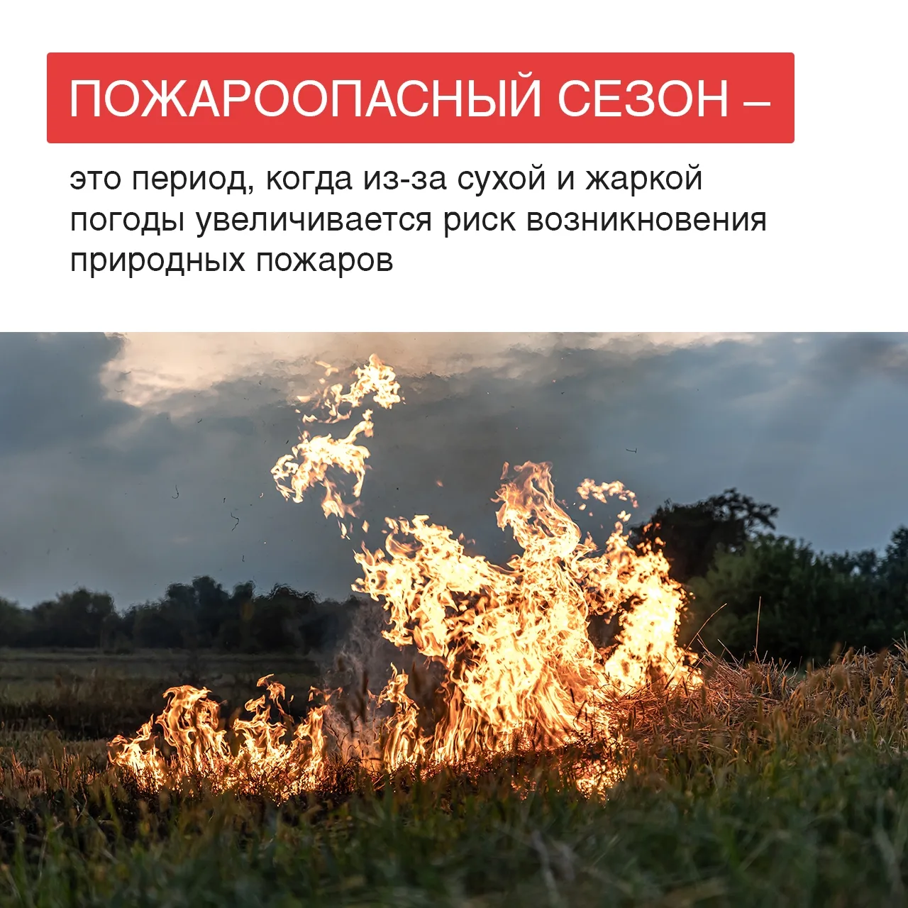 В Удмуртии с 17 апреля – пожароопасный сезон Это время, когда природа особенно уязвима, а любая искр