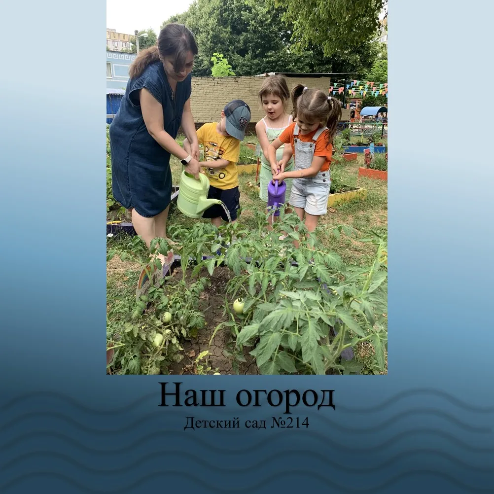 Наш огород радует плодами: забота и урожай — рядом! 🍅🥒🌱

Наши грядки уже не просто зеленеют — они