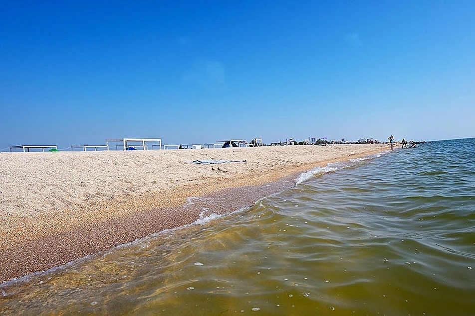 К 2026 году видовое разнообразие рыб в Азовском море сократилось почти вдвое, со 140 ви...