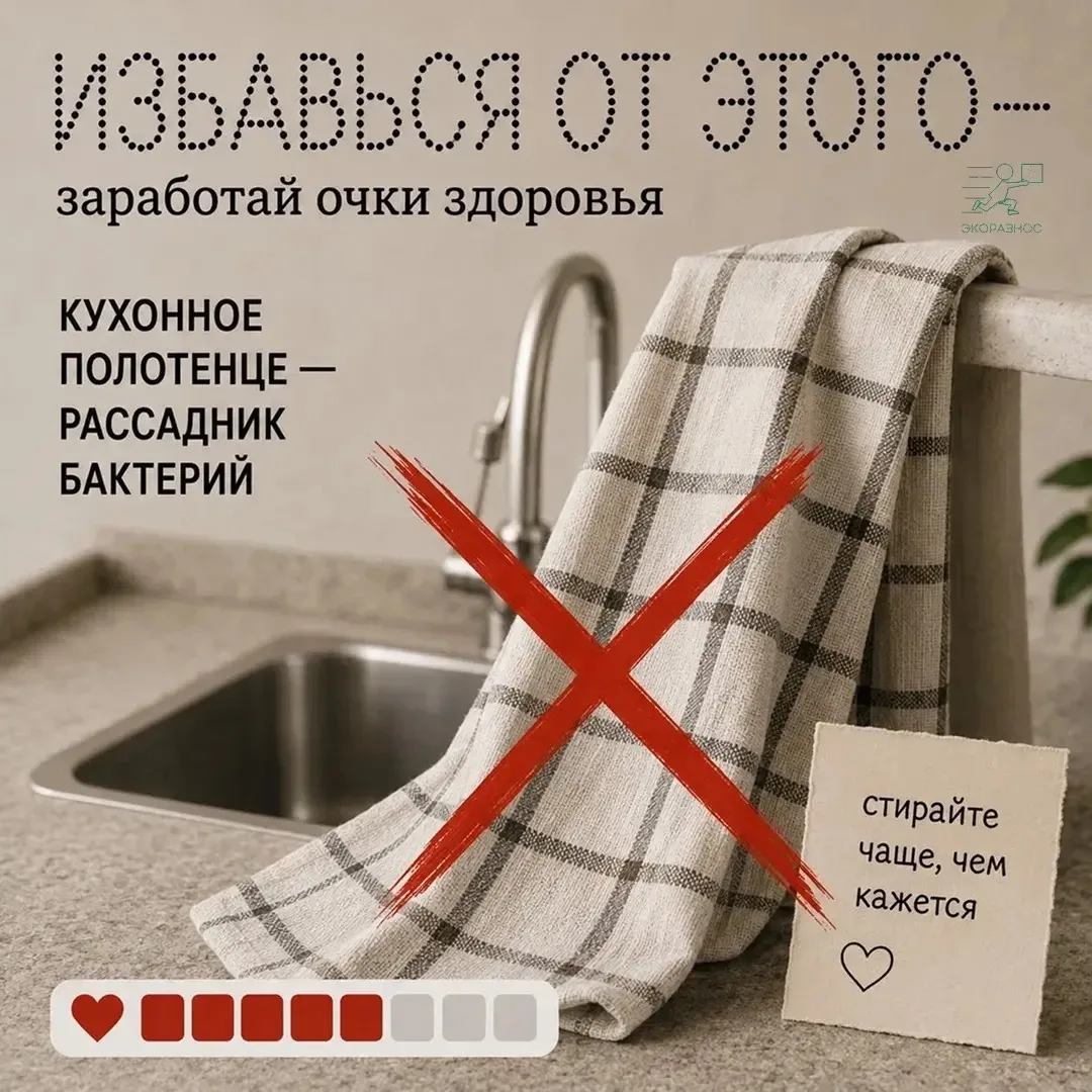 Кухонное полотенце — рассадник бактерий