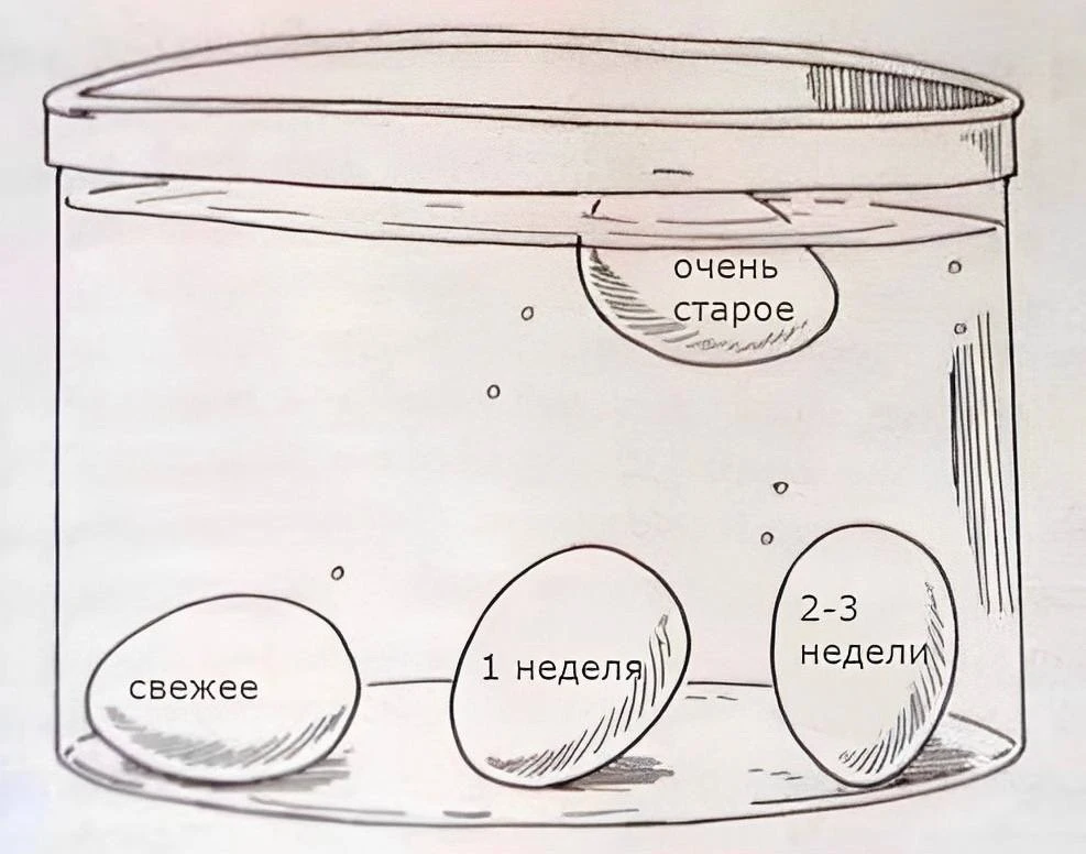 ЭКСПРЕСС-ТЕСТ НА СВЕЖЕСТЬ ЯИЦ 🥚