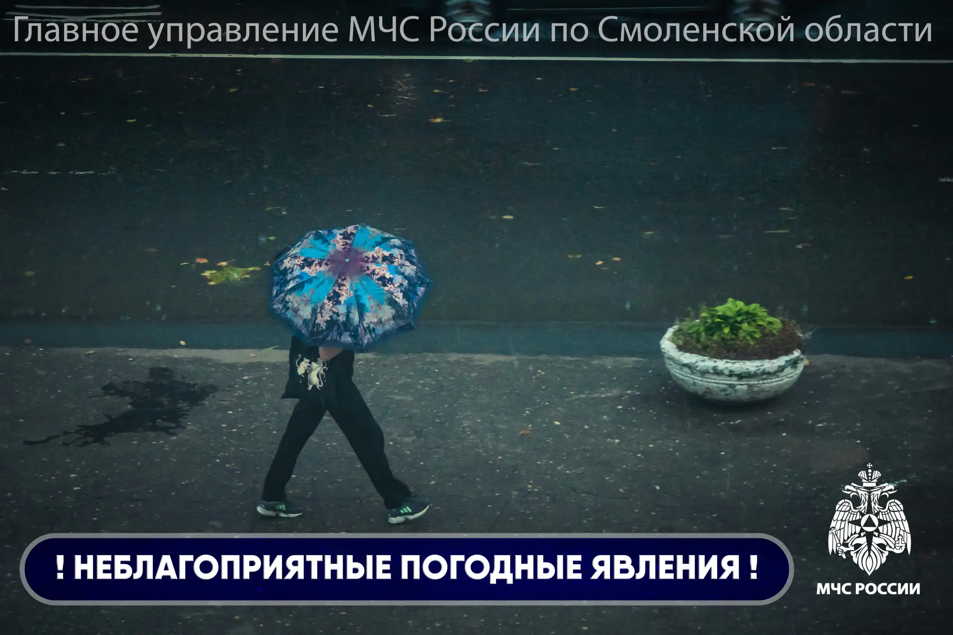 По информации Смоленского ЦГМС, в течение предстоящих суток на территории Смоленской об...