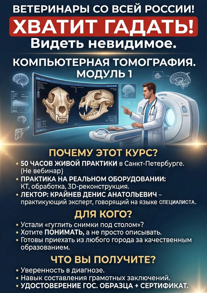 🚀 Ветеринары со всей России, этот пост для вас.