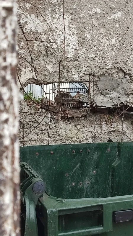 У природы нет плохой погоды!   Прогноз, безусловно, вносит свои коррекции в виде зонтиков и прочих о