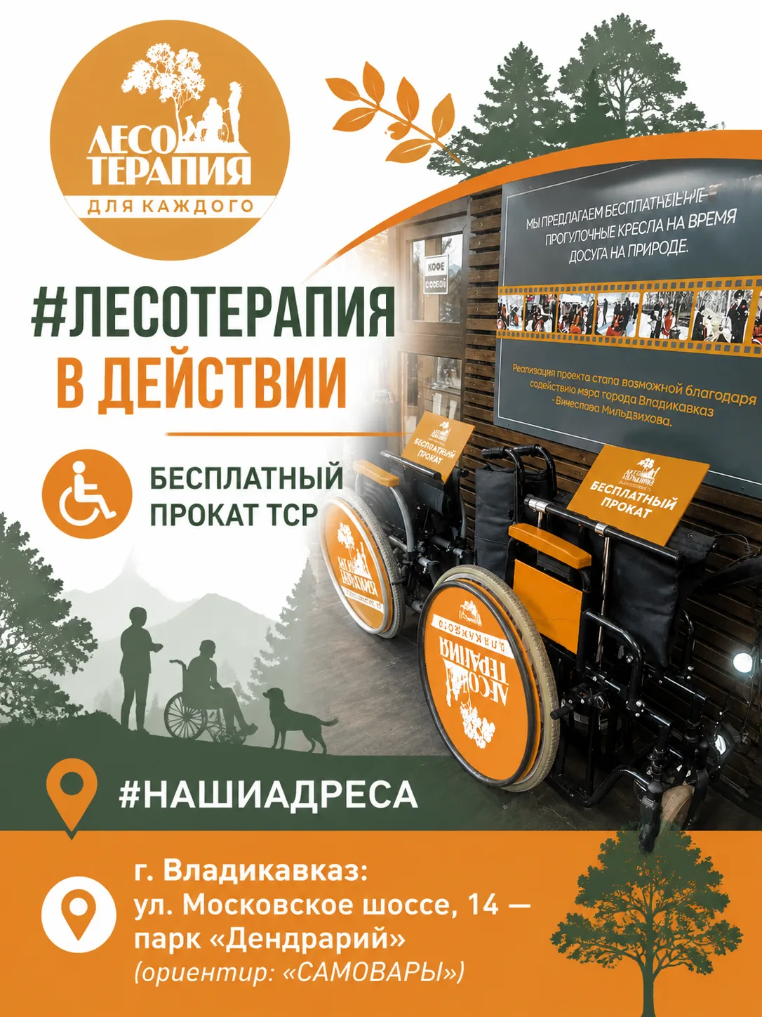 #ЛЕСОТЕРАПИЯ В ДЕЙСТВИИ
