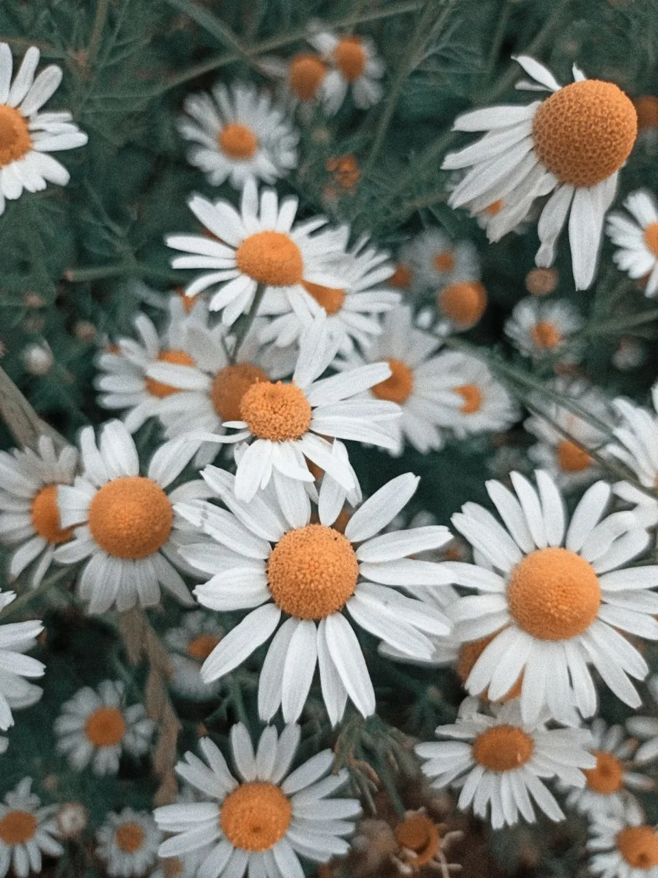 📷 чувствую себя настоящим фотографом,
