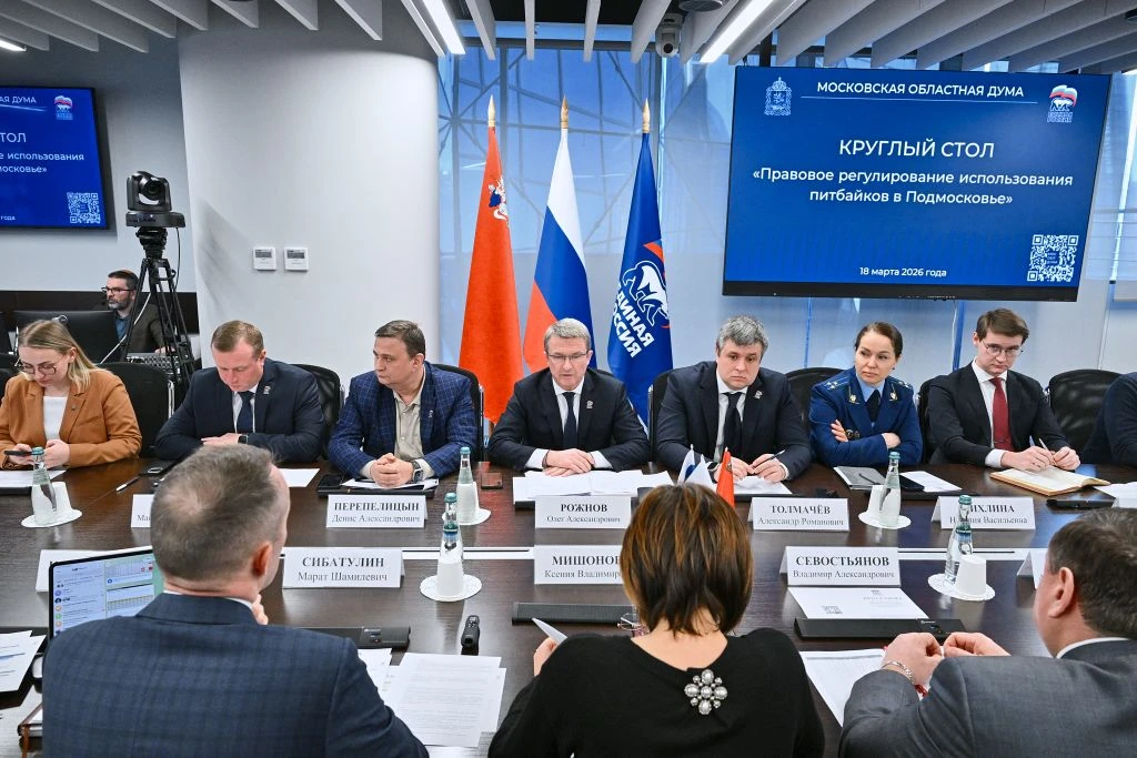 Питбайки: быть или не быть? Этот вопрос сегодня обсуждался в ходе круглого стола в Мосо...