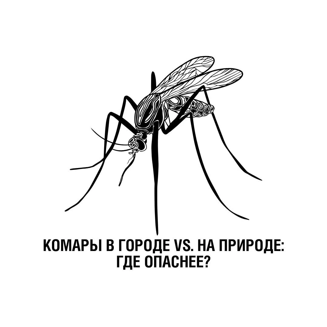 🦟Вместе с долгожданным теплом появляются комары. Росту численности этих кровососущих насекомых спос