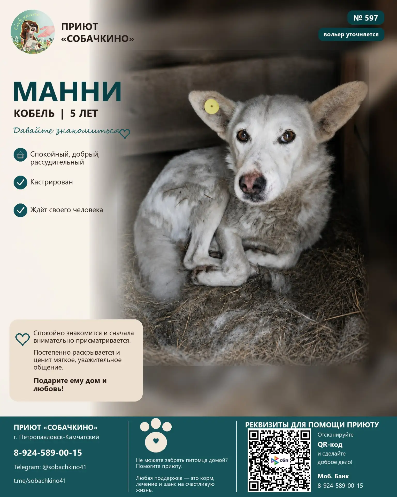 Манни ищет дом. ❤️