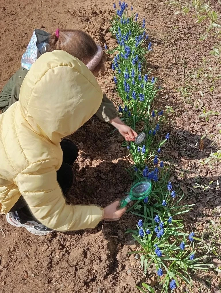 🌼 Весна приходит, и с ней появляются первые цветы! 🌸 Это время, когда земля просыпает...