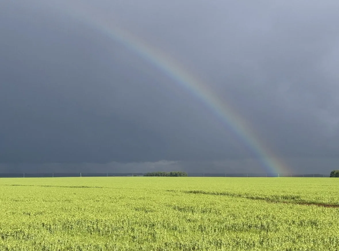 Хәерле кич🌈