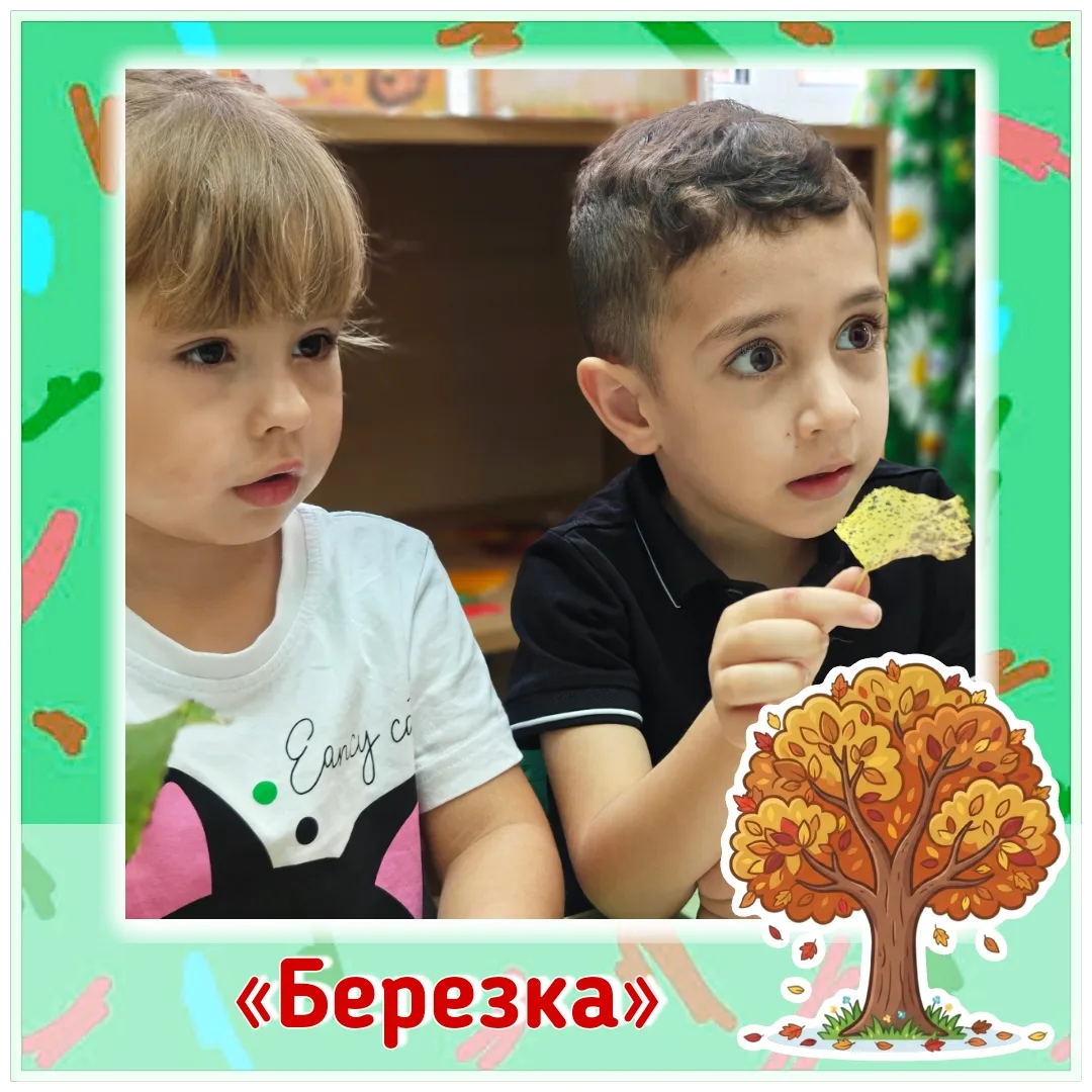 🌳 Сегодня — День леса.