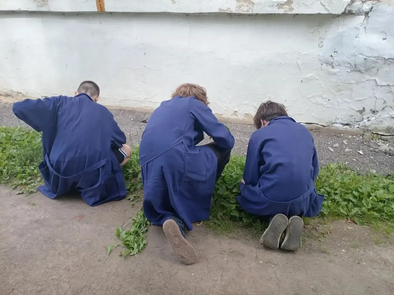 🛠️ Школьная трудовая бригада: больше, чем просто работа!

Лето — это не только время отдыха, но и о
