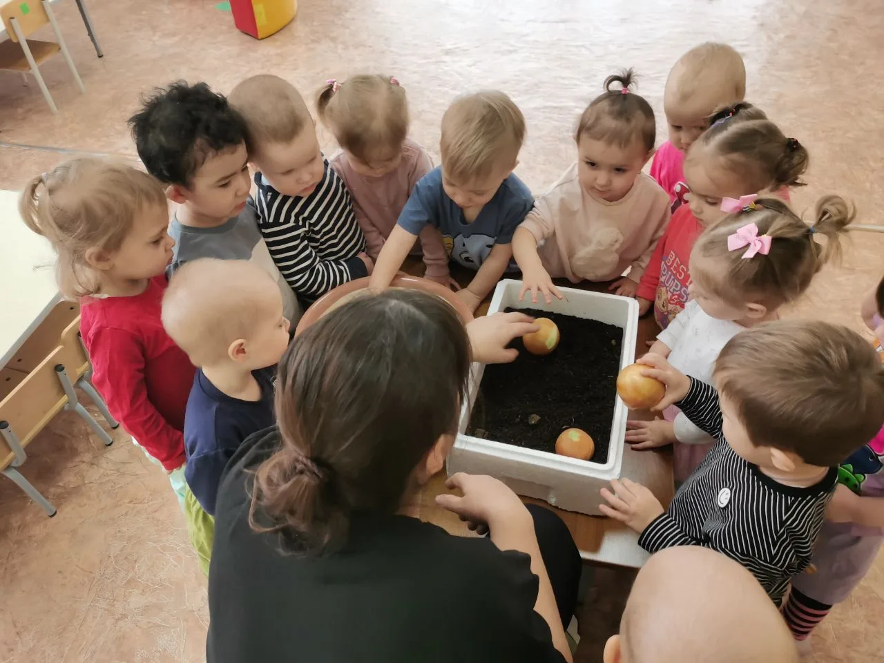 🧅ОГОРОД НА ОКОШКЕ 🧅Сегодня воспитанники первой группы раннего возраста стали свидетел...