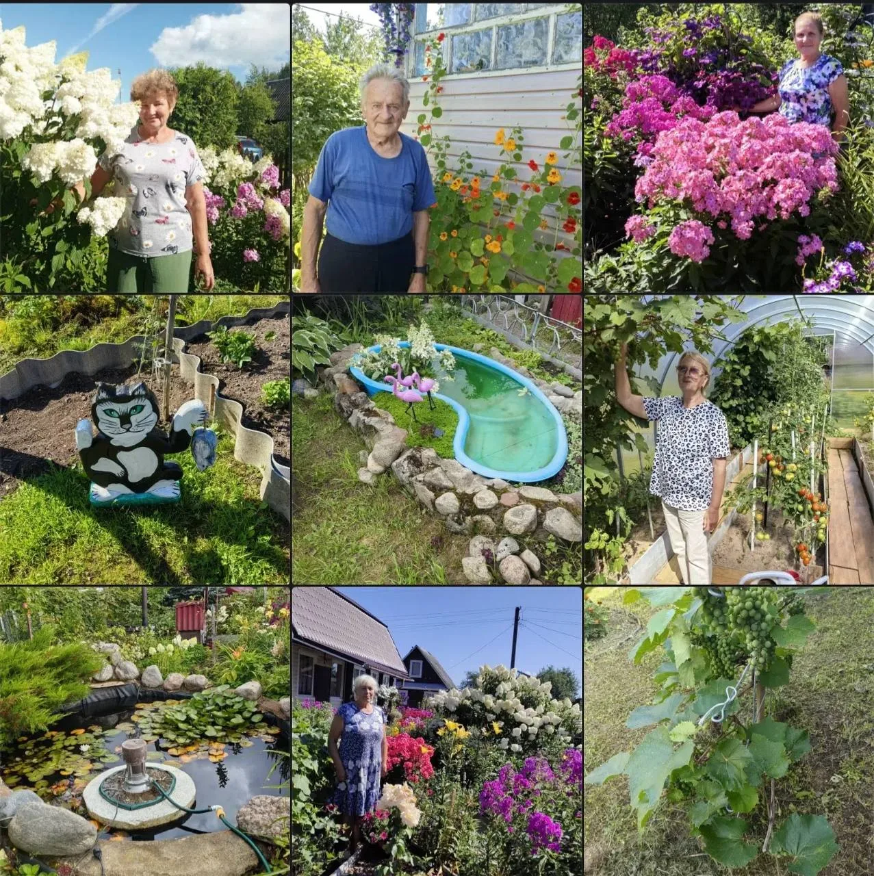 🌿 В Тихвинском районе подводят итоги конкурса «Ветеранское подворье»