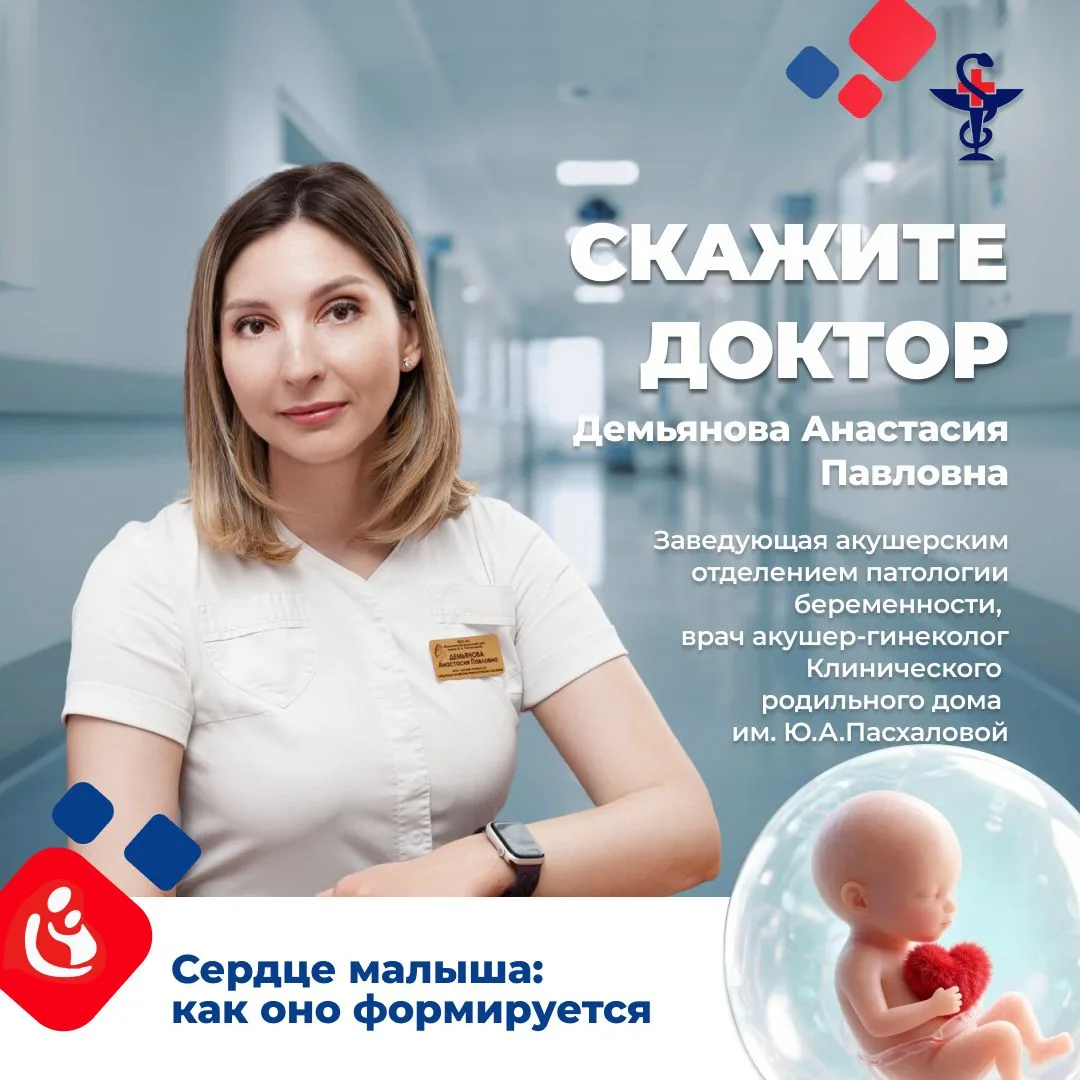 🫀 Сердце малыша: как оно формируется и почему это настоящее чудо природы