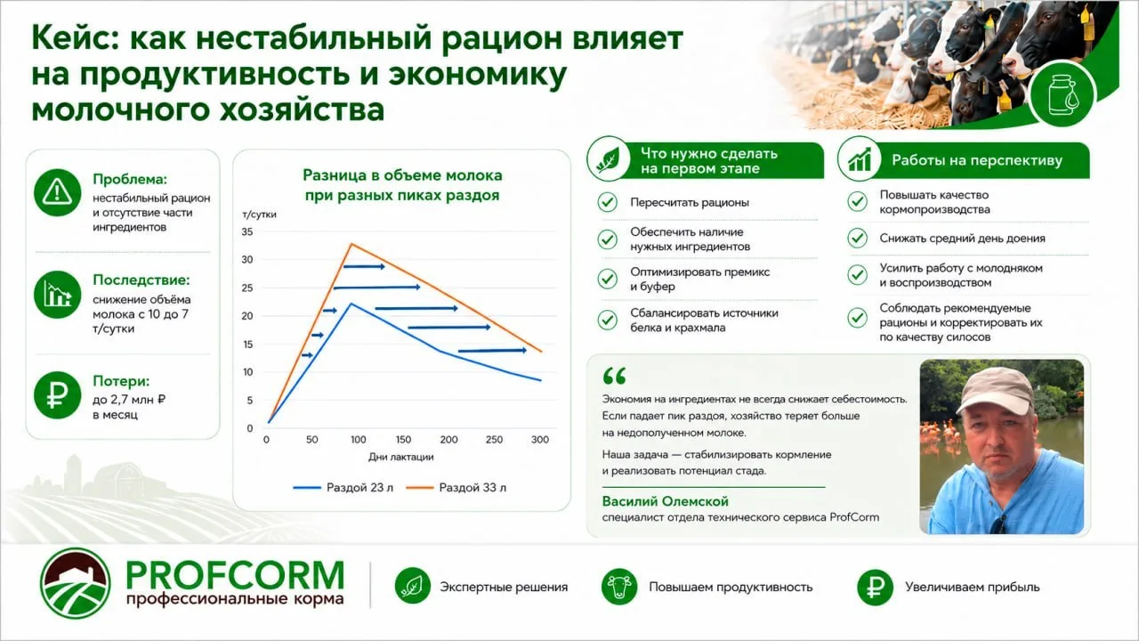 Кейс: Как нестабильный рацион влияет на продуктивность и экономику молочного хозяйства