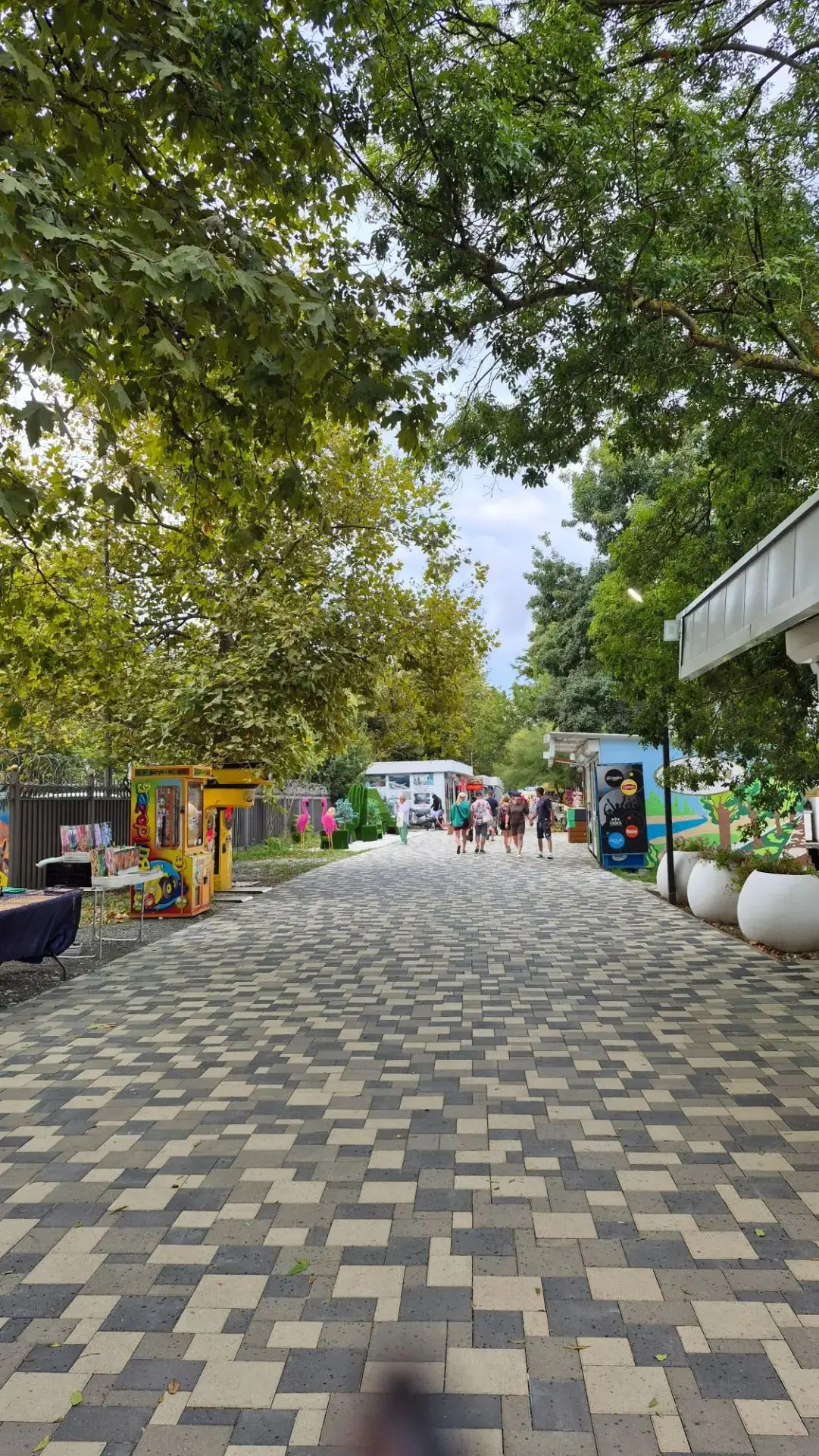 Архипо-Осиповка сентябрь 2026 года 🌿 Фото: Лилия