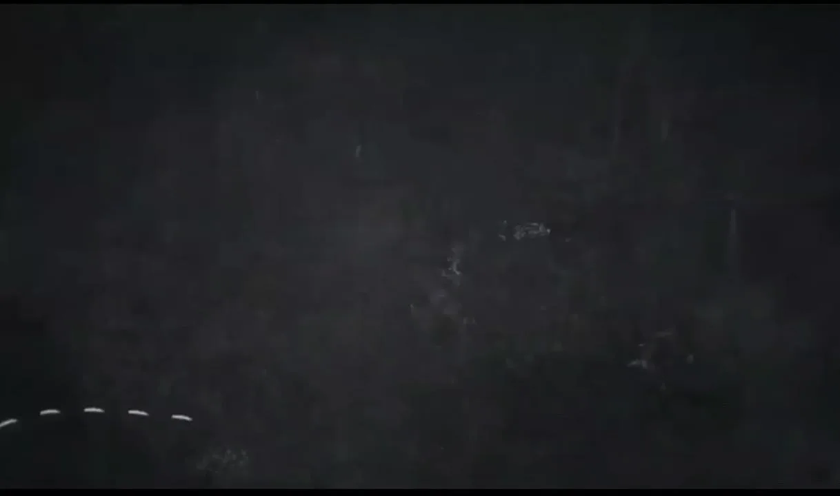 🎬 Назад в прошлое: прогулка по лицейским коридорам с главой города
