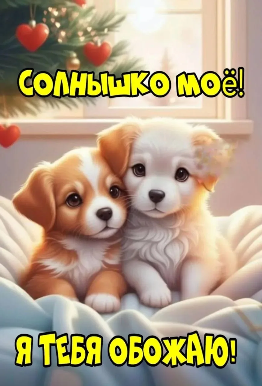 ✨❤️❤️❤️🍬✨

ДЛЯ ДУШИ! 🦋