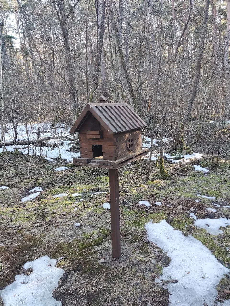 Красивые и необычные кормушки для птиц на Куршской косе 🕊️