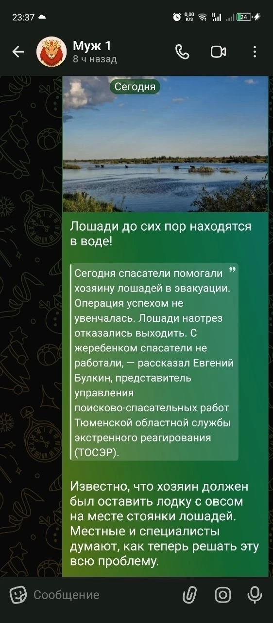 Из-за паводка гибнет домашний скот , жеребенок погиб 😢. Вот что творится в д. Тураева ...