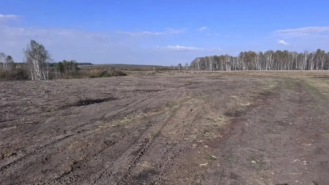 В Пласте прокуратура закрыла нелегальную свалку