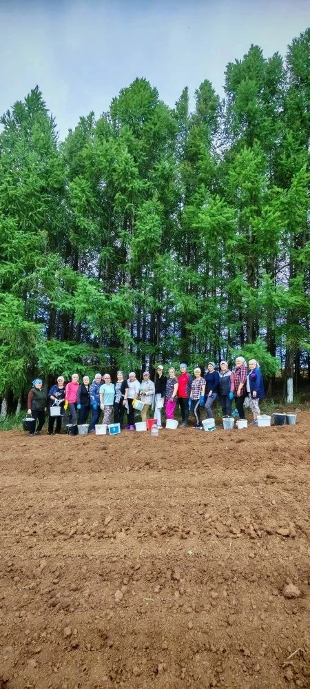 Бүген без агач агарту өмәсендә 🌲🌳