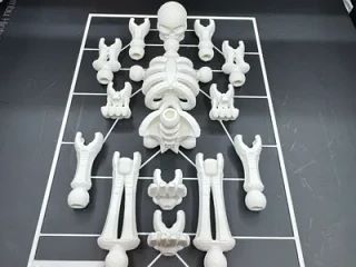 Skeleton Kit Card-Tinkercad