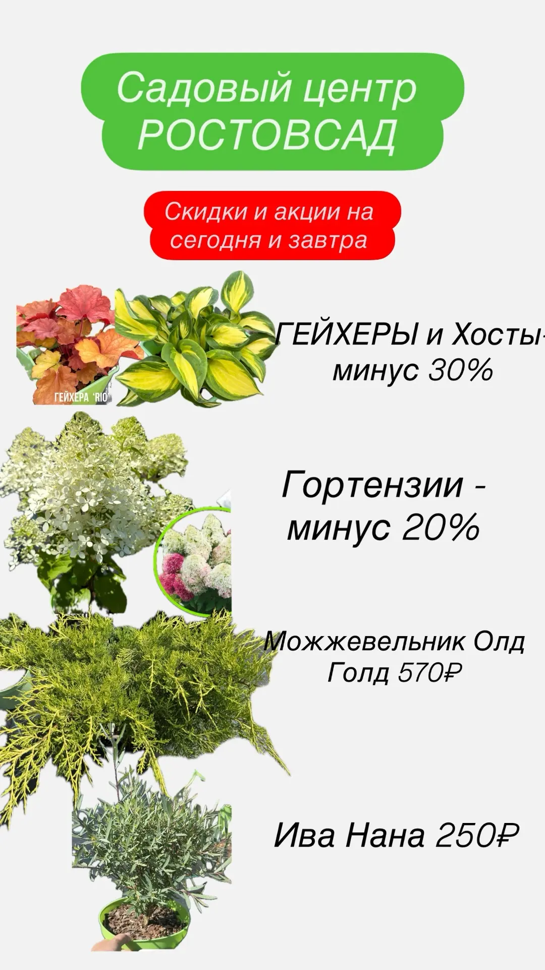 Мы работаем в субботу воскресенье