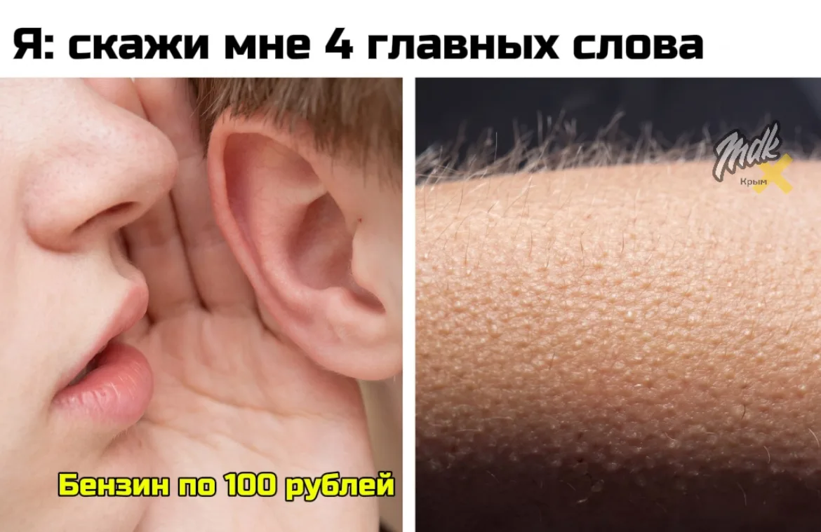 Ну мёд для ушей 🤤