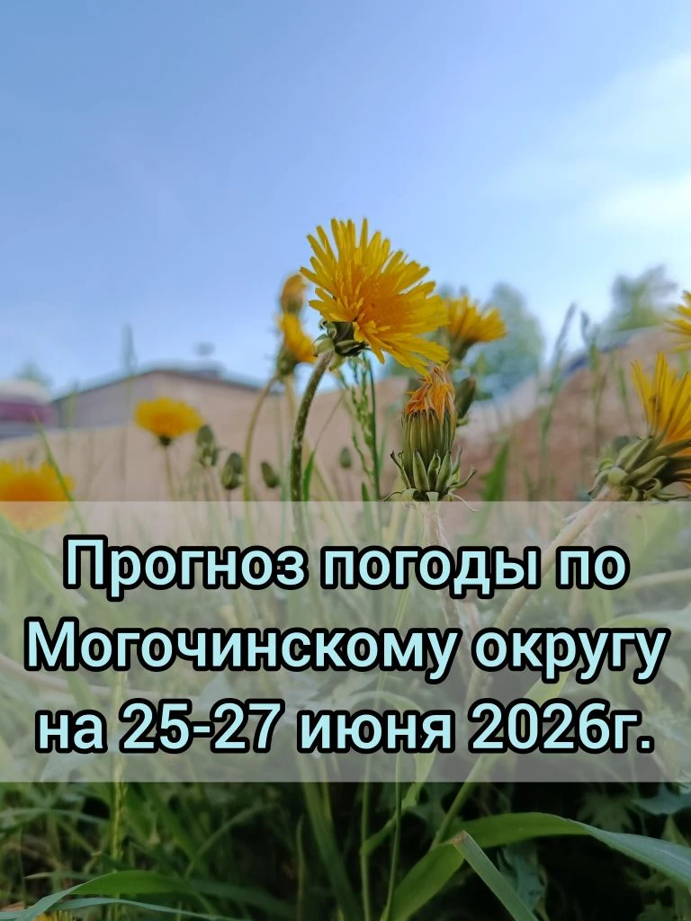 🌥️Прогноз погоды по Могочинскому округу на 25-27 июня