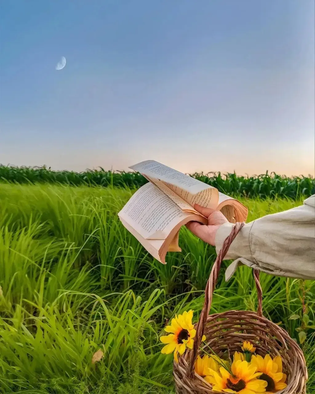 📝 МЫСЛЬ ДНЯ:

Самое важное — это навести порядок в душе. Соблюдаем три правила: не жалуемся, не обв