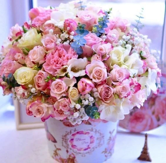 🍃💕🍃🌸🍃💕🍃