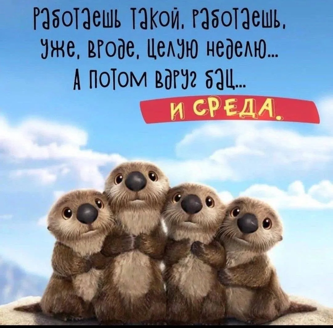 ☀️ #ДоброеУтро