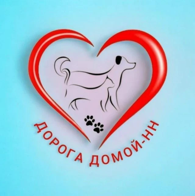 💥Друзья, ссылки на ДОРОГУ ДОМОЙ-НН!💥